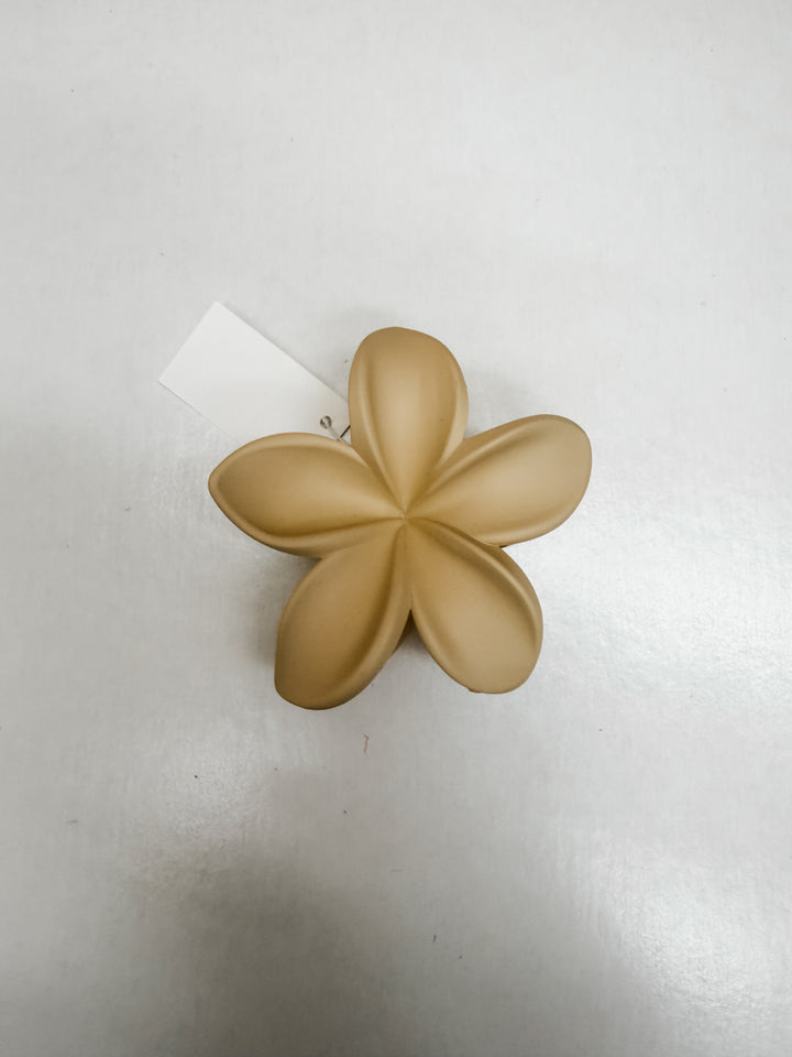 Assorted Flower Claw Clips