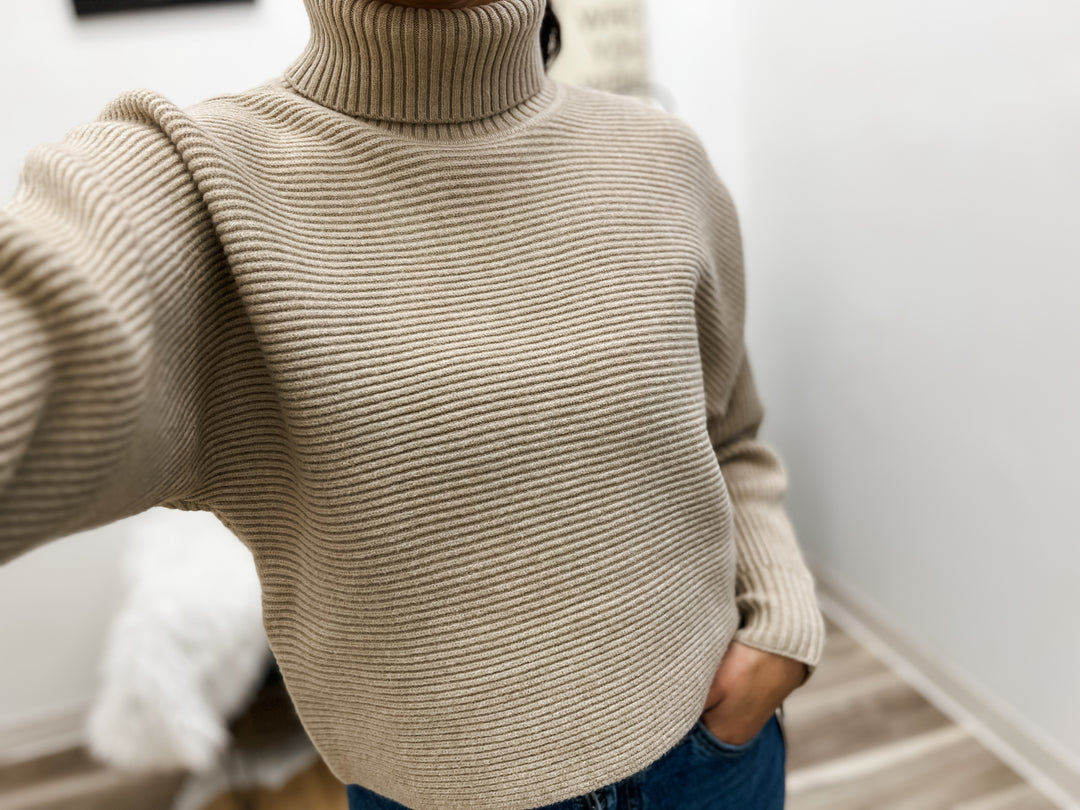 Anya Turtleneck Sweater