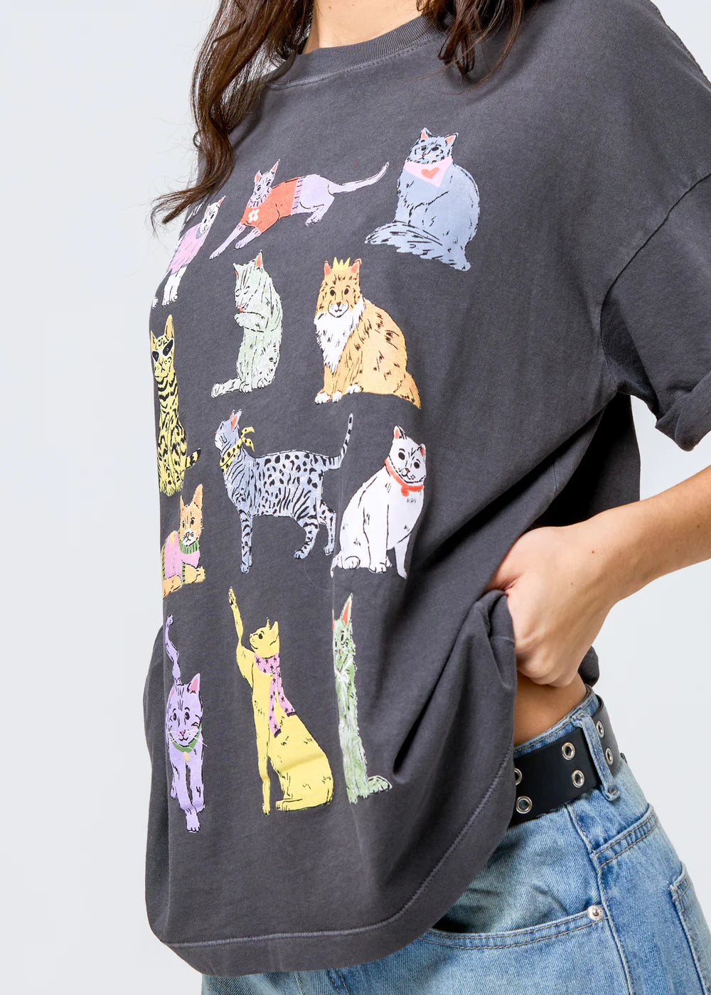 Cats Boyfriend Tee