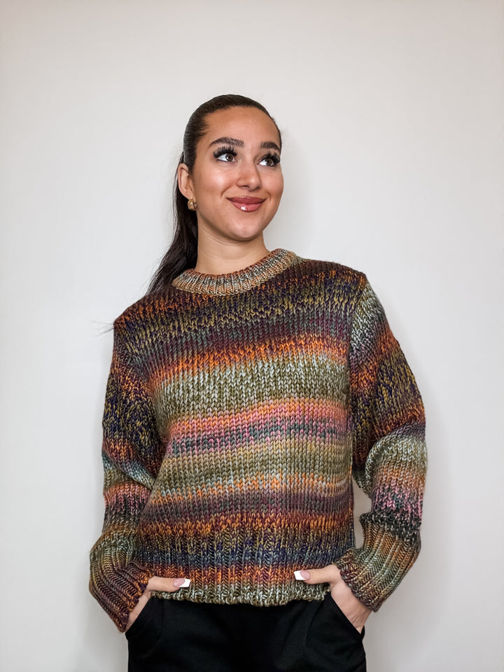 Chunky Multi-Color Sweater