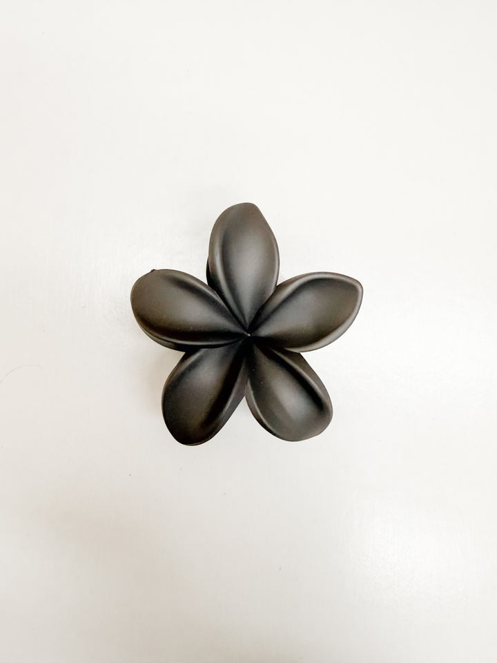 Assorted Flower Claw Clips