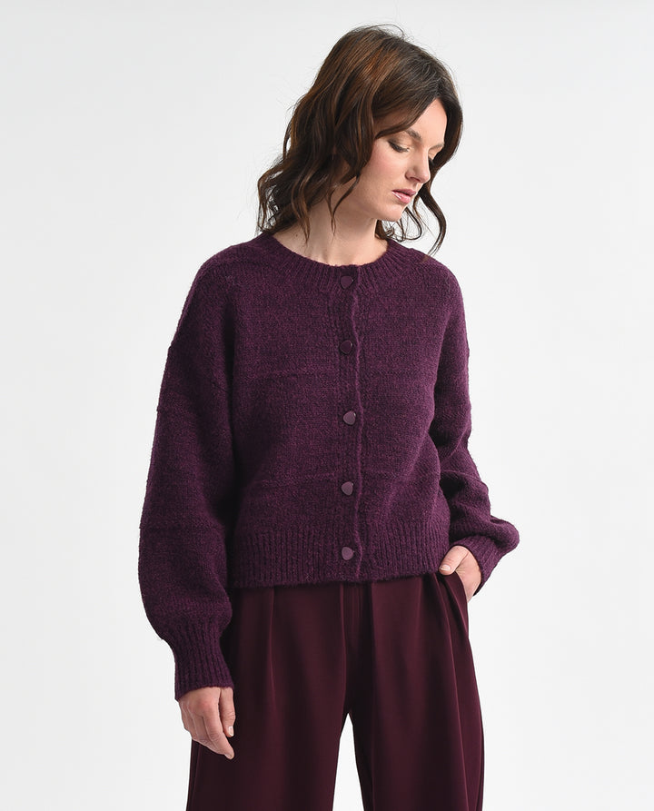 Plum Dreams - Molly Bracken