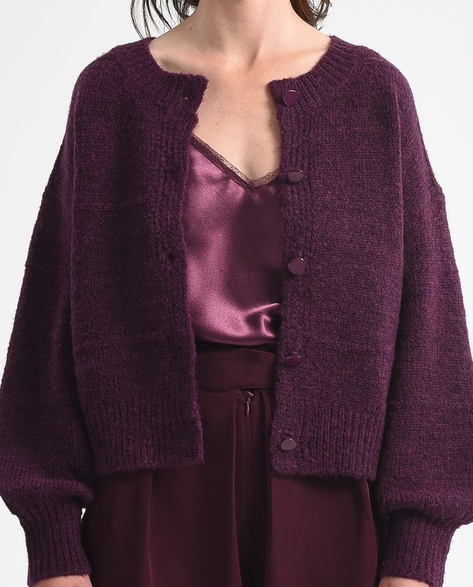 Plum Dreams - Molly Bracken